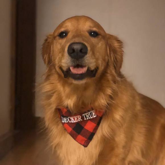 Meet your Posher, Julie - Picture 1 of 1